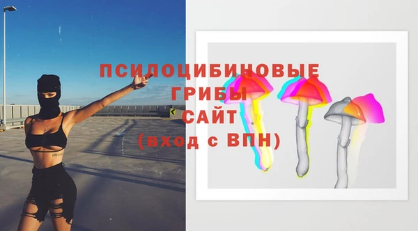 бошки Магас