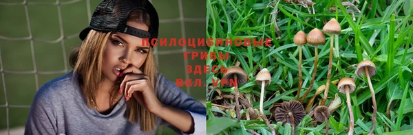 бошки Магас