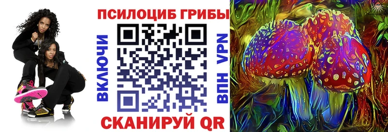 Псилоцибиновые грибы Cubensis  Купить где  Ишимбай 